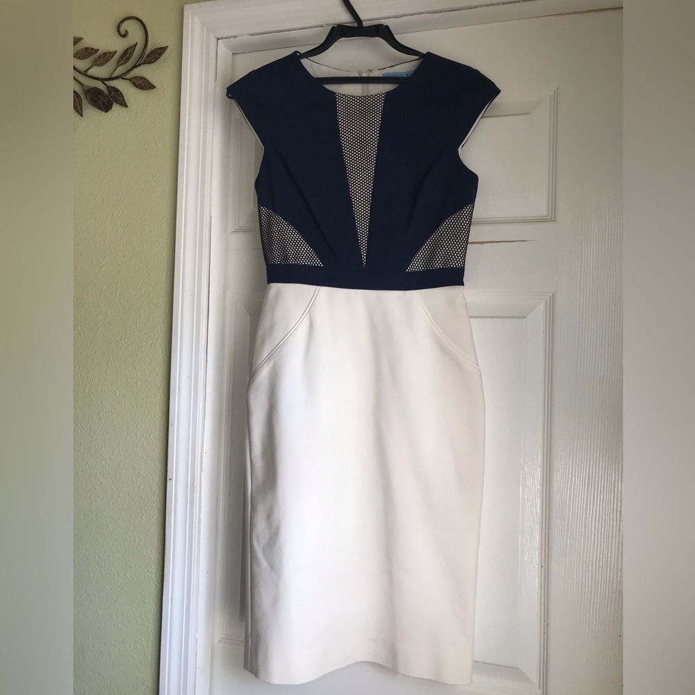 Women Antonio Melani Dress Size 0.
